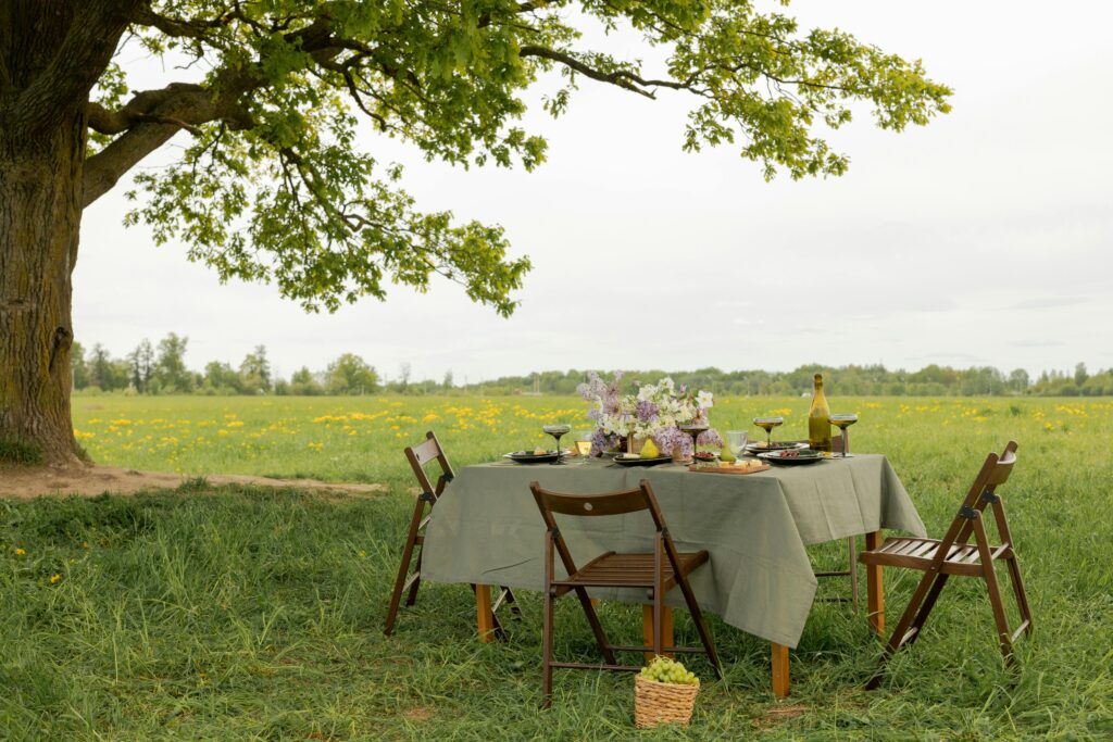 Gedeckter Tisch auf grüner Wiese